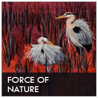 Mini Gallery - Force of Nature